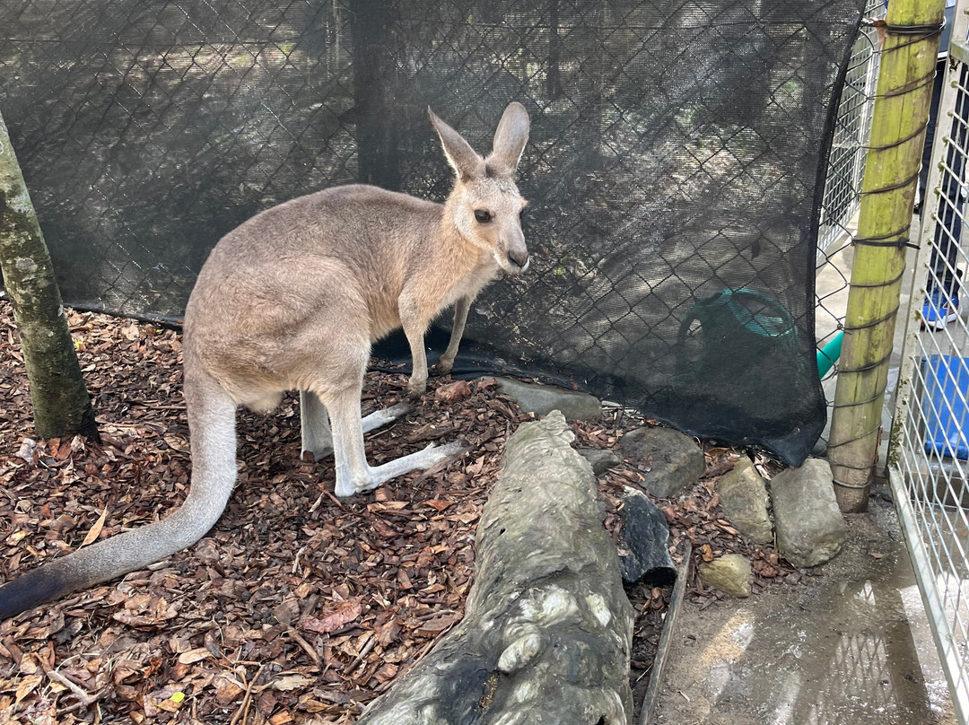 Hartley's Crocodile Adventures-Wangetti必去景点