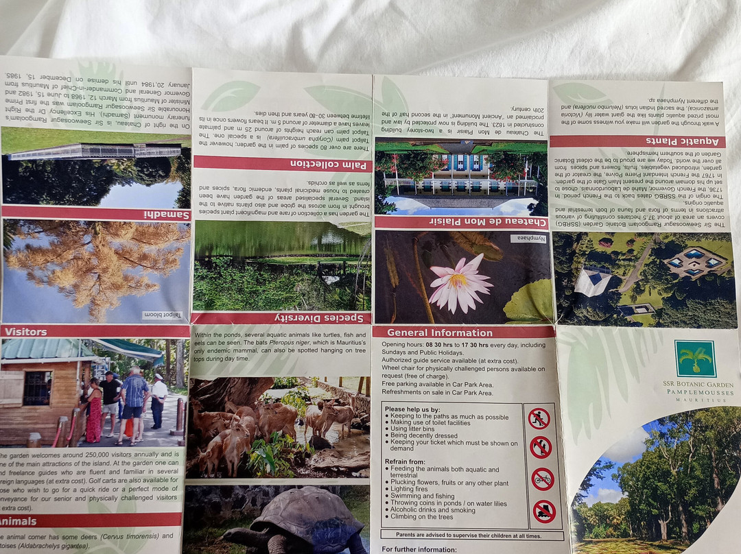 Sir Seewoosagur Ramgoolam Botanical Garden-庞波慕斯必去景点