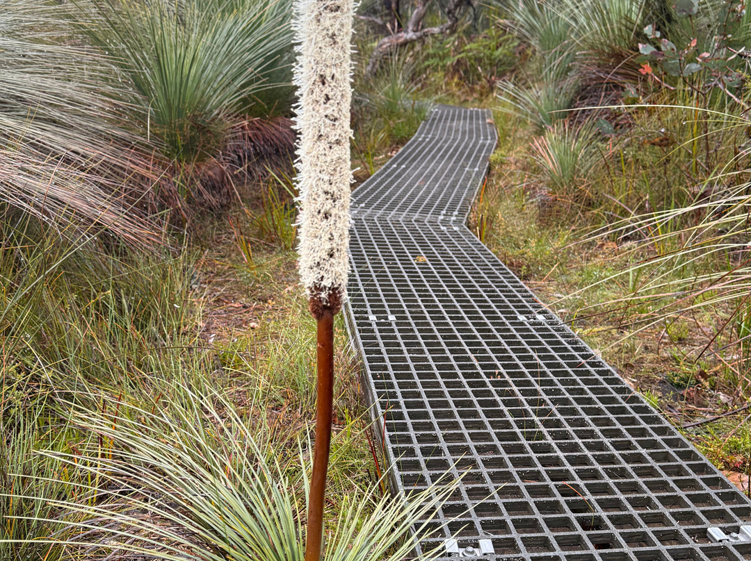 Walk91-阿波罗湾必去景点