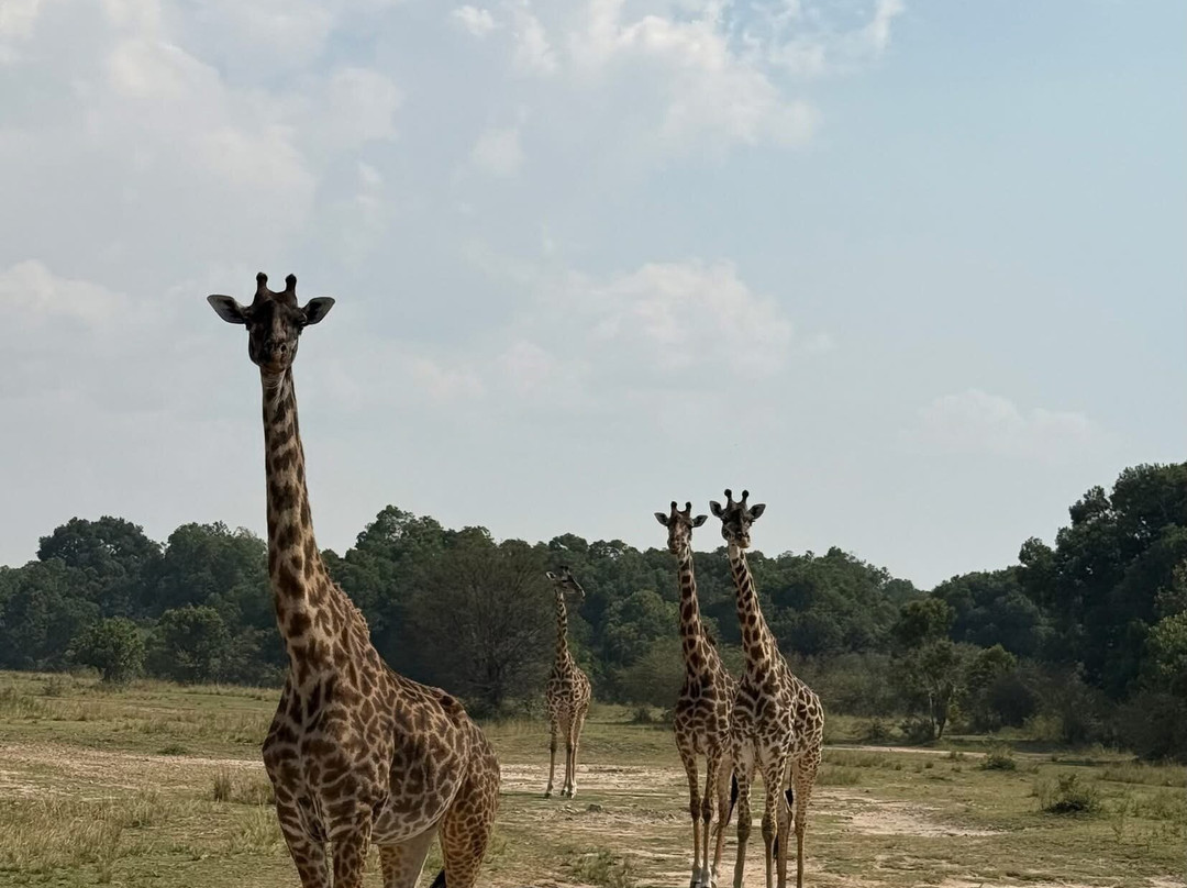 DISCOVERY OUTDOORS KENYA-Langata必去景点