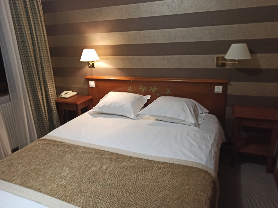 Hotel Restaurant L'Ami Fritz主图