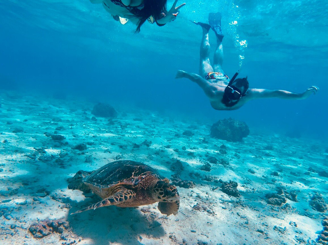 Papa Fish Excursions-乌库拉斯必去景点