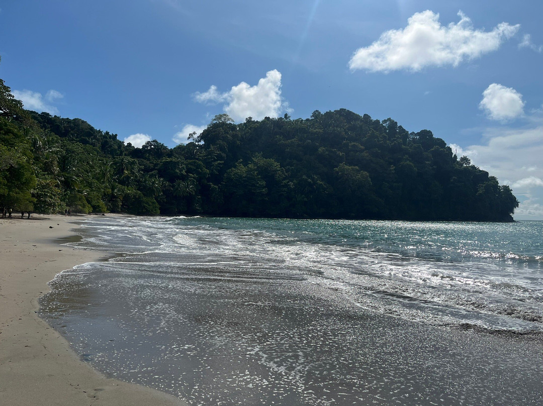 Marbella Tours-圣何塞必去景点