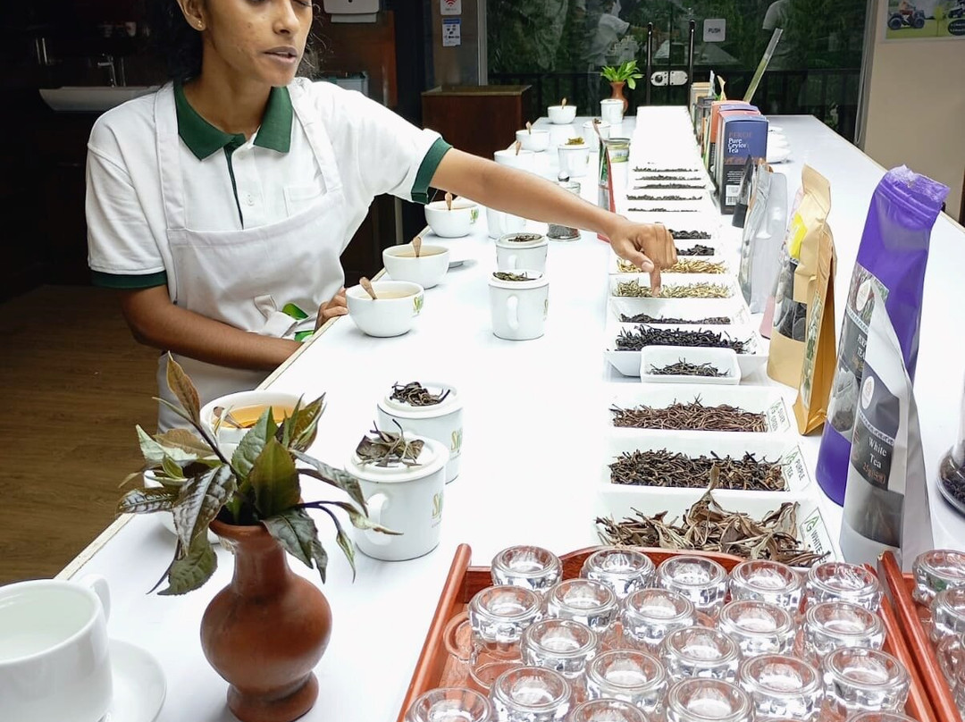 Travel J Sri Lanka-Thalawathugoda必去景点