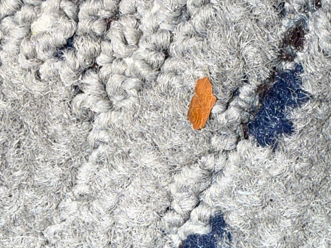 Holiday Inn Express & Suites Texarkana By IHG主图