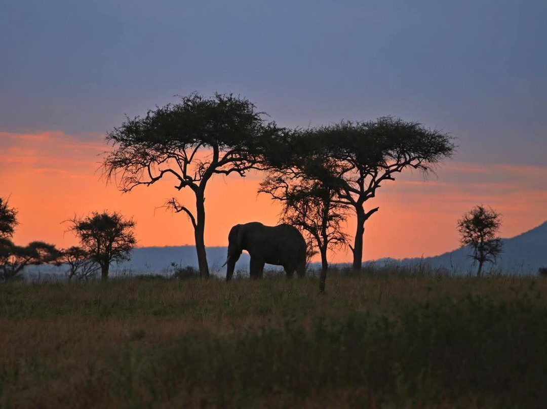 Kiliholidays Tours And Safaris-阿鲁沙必去景点