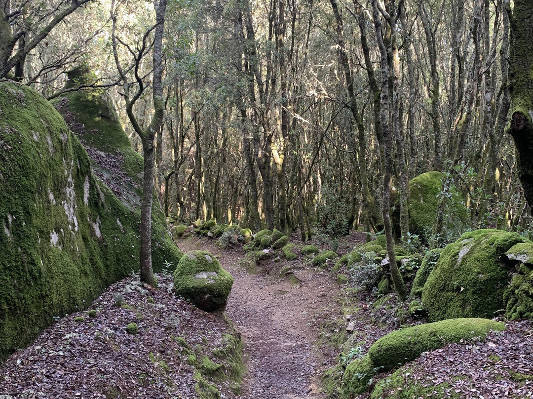 Site archéologique de Cucuruzzu-Levie必去景点