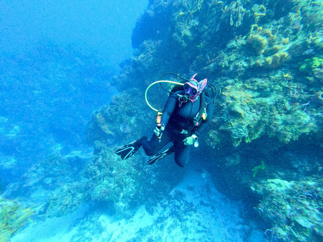 Scuba Life Cozumel-San Miguel de Cozumel必去景点