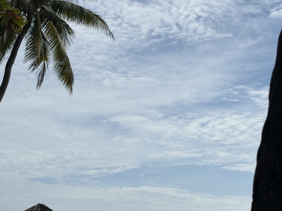 Rooty Trip-富国岛必去景点