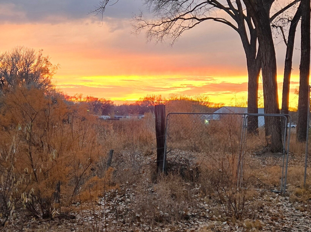 Riverwood Resort on the Gunnison
