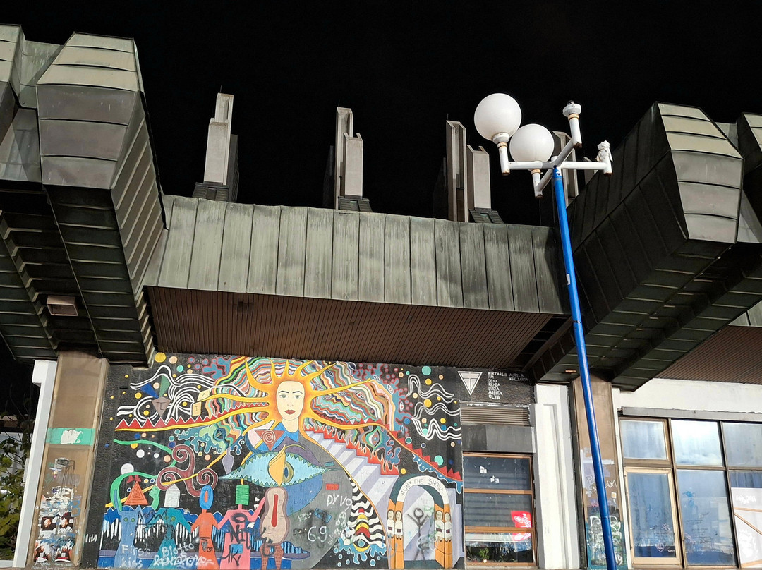 Pristina City Stadium-普里什蒂纳必去景点