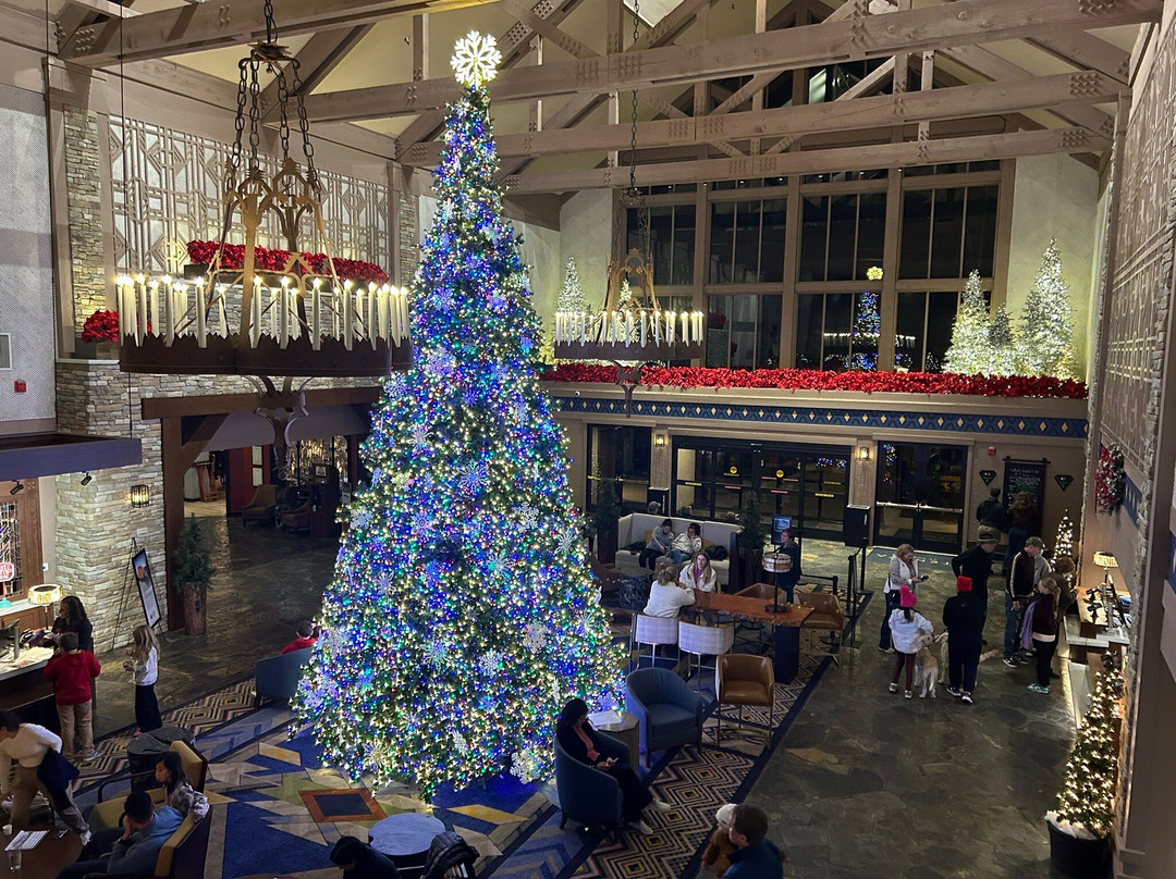 Ascent Spa-菲什营必去景点