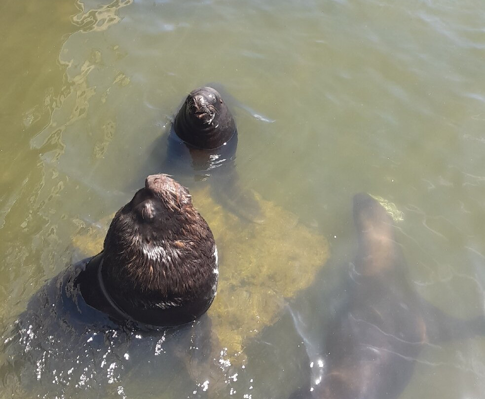 波多黎各德埃斯特角城-埃斯特角城必去景点