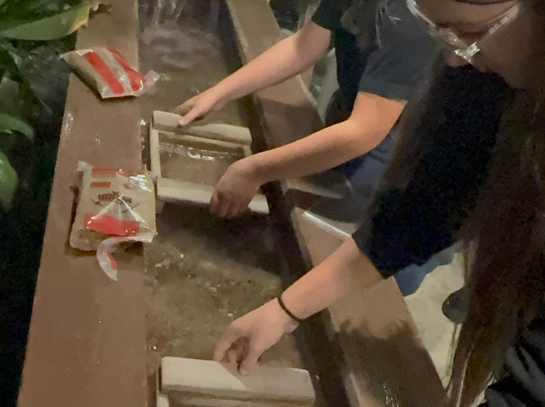 Congo River Golf-博尼塔斯普林斯必去景点