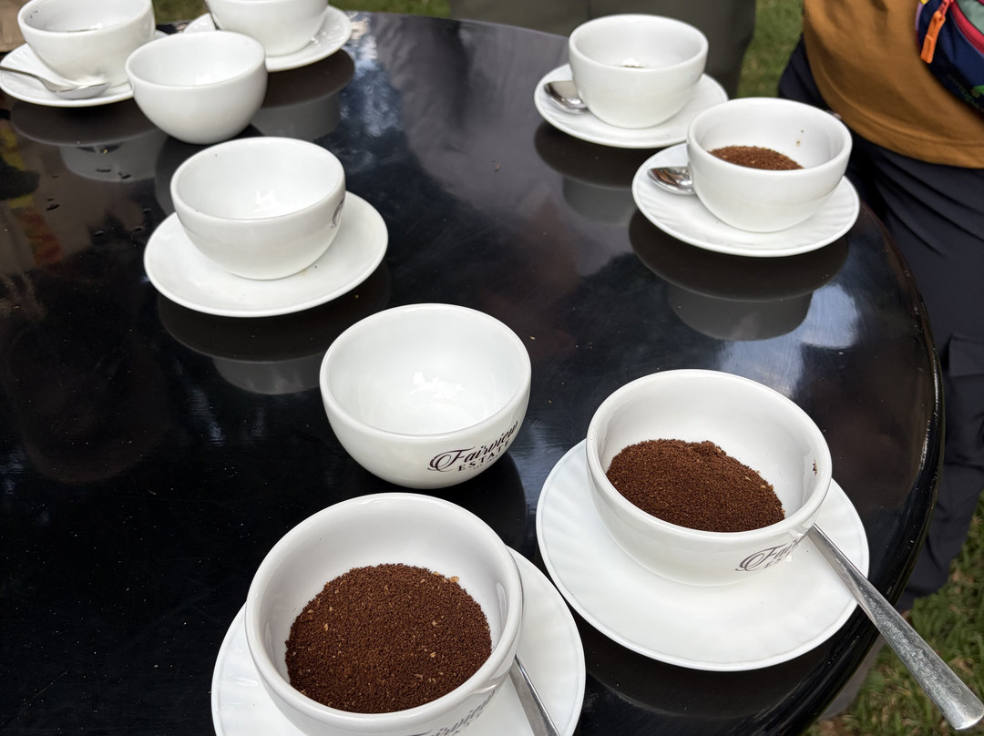 Fairview Coffee Estate-内罗毕必去景点