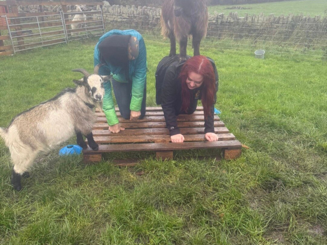 Walking the goats at Lower Coates-巴恩斯利必去景点