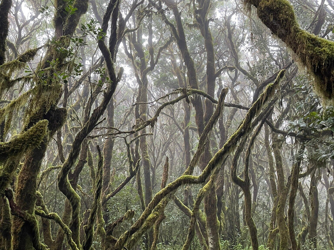 Timah-La Puntilla必去景点