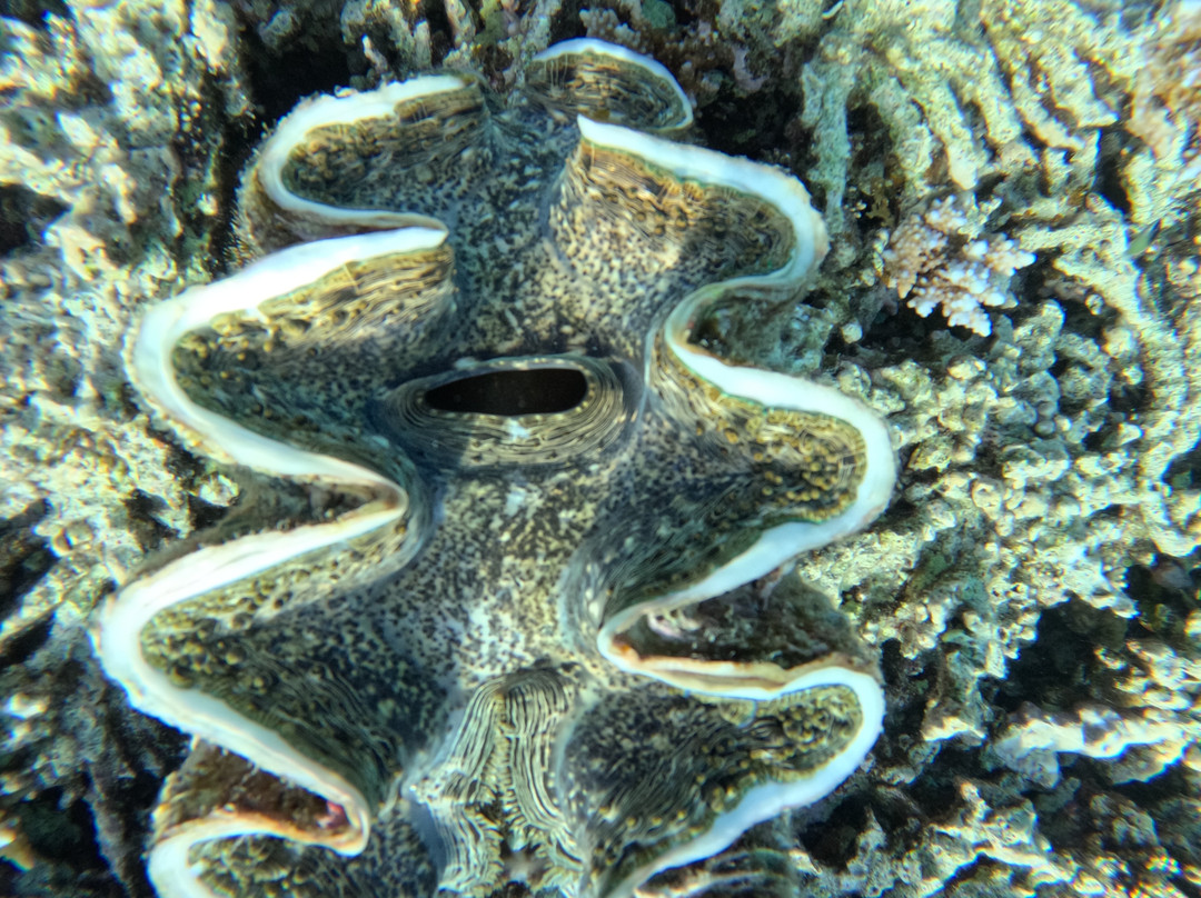 Erlebnis Ägypten-Safaga必去景点