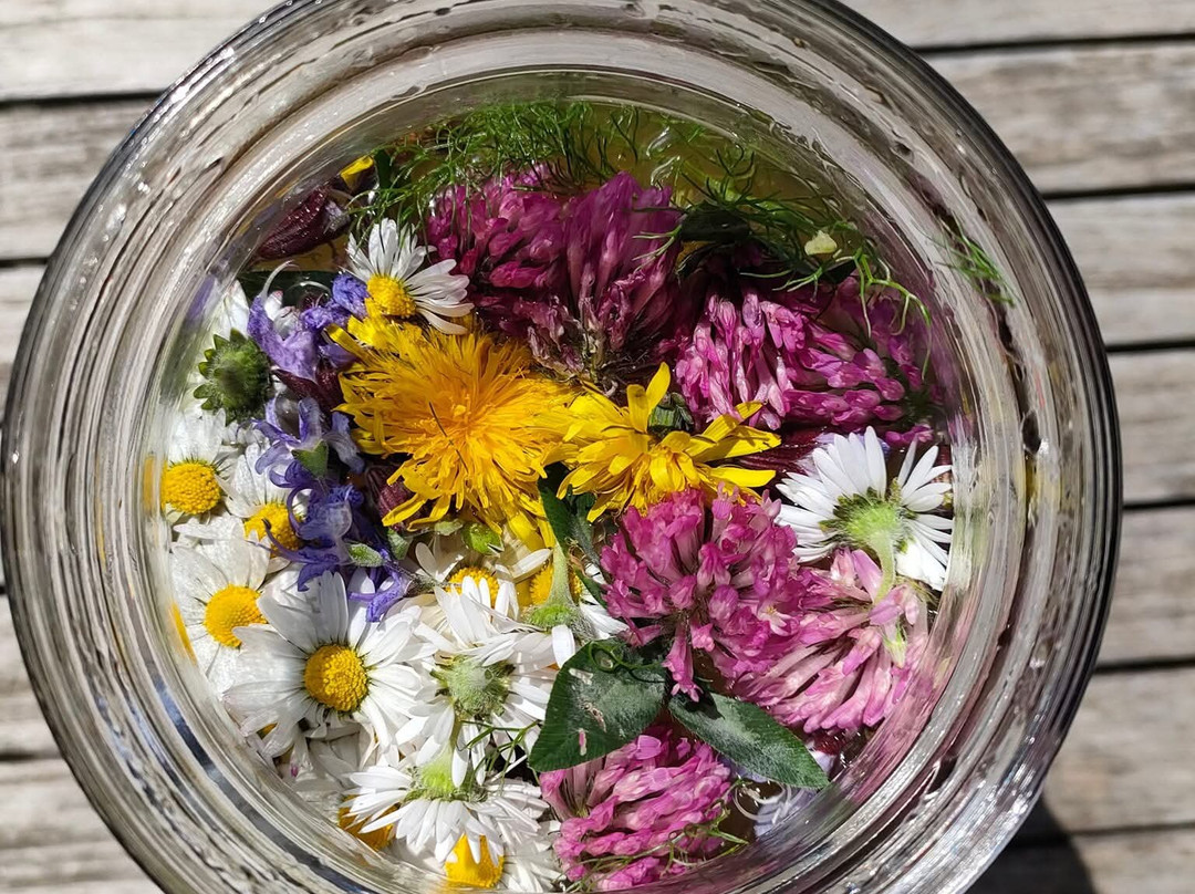 Naturopathe & Guide Nature Maria Karanakova-勒普利盖恩必去景点