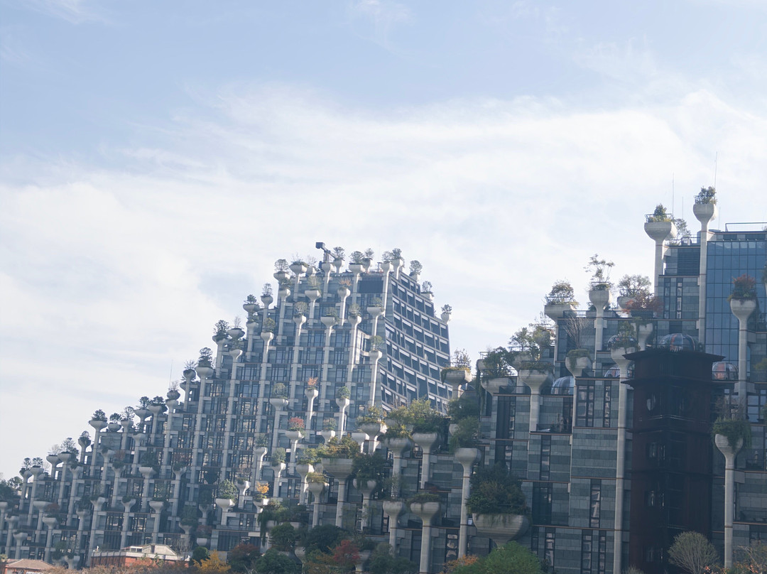 大洋晶典·天安千树-上海市必去景点