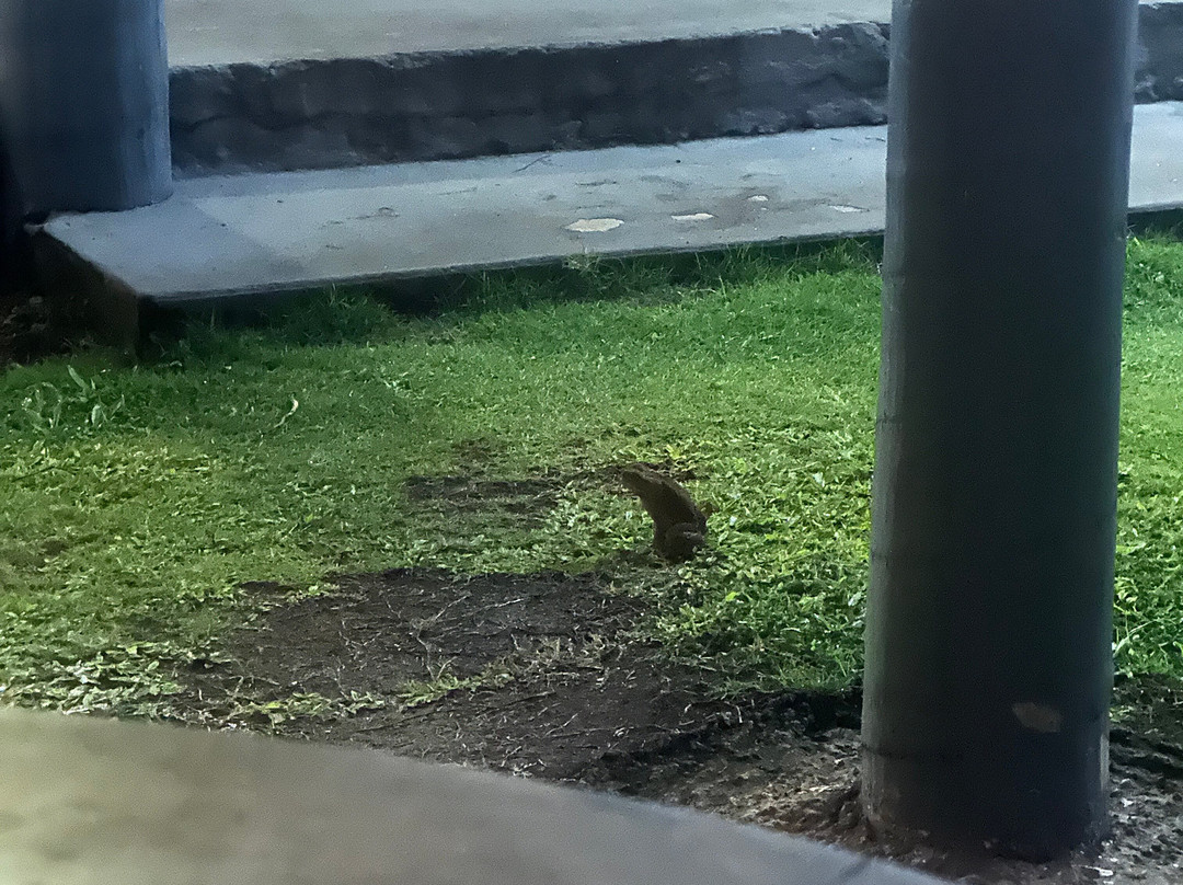 花园岛度假村主图