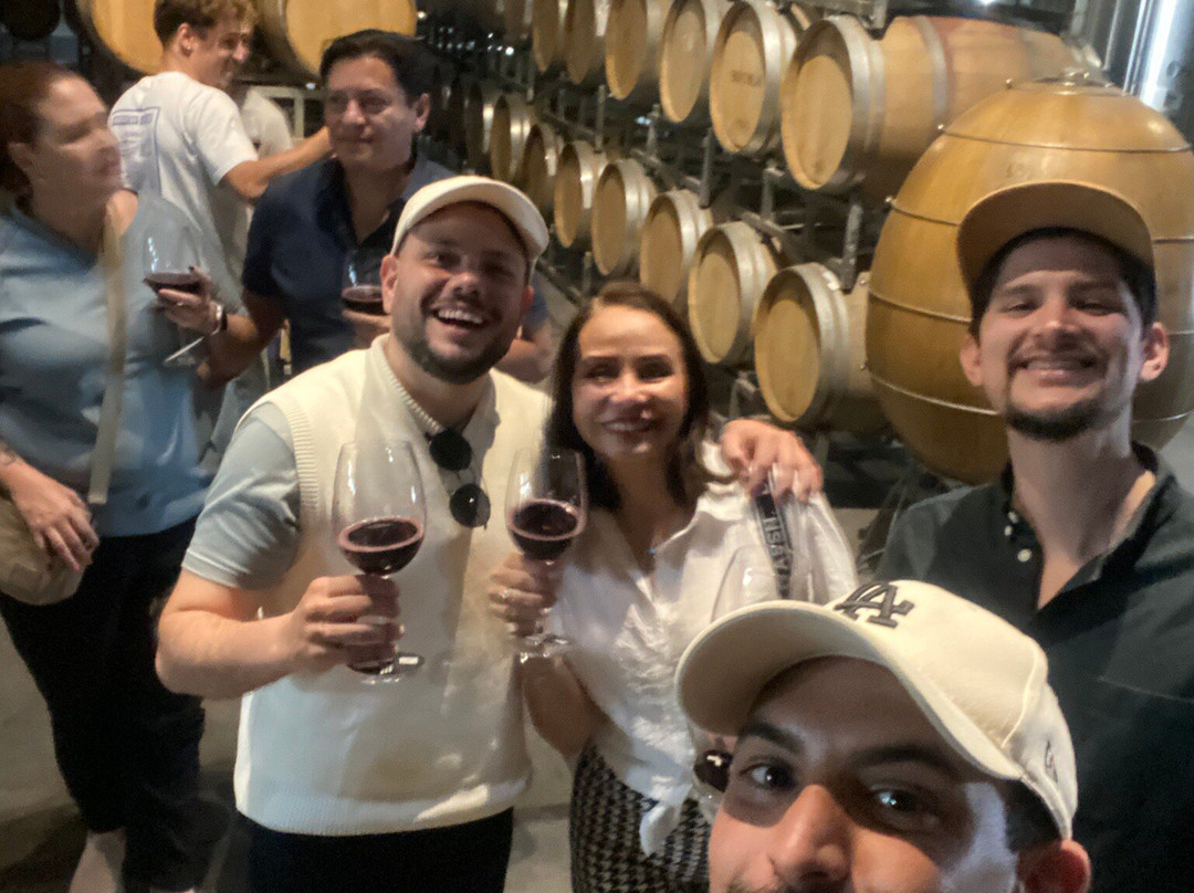 Bodega Los Toneles-门多萨必去景点