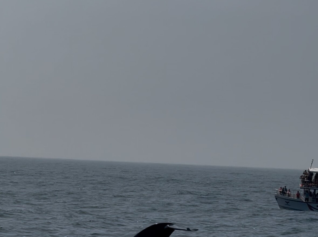 Nathalia Cruise-美蕊沙必去景点