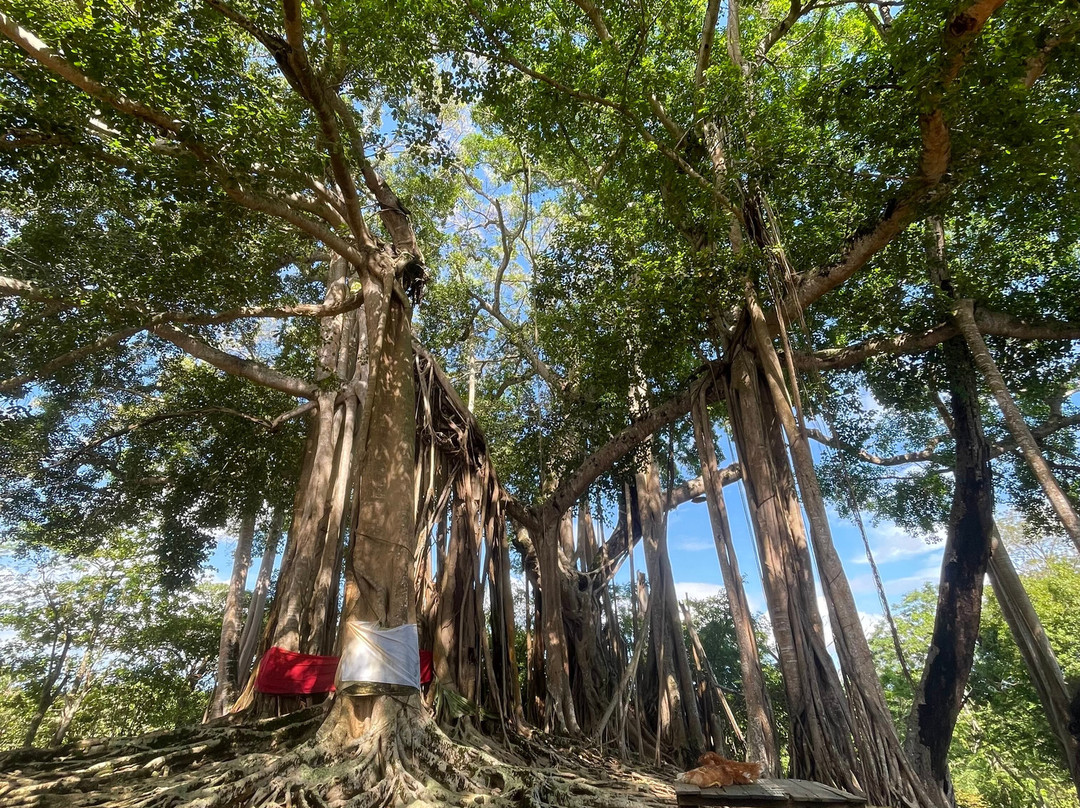 Madagascar Tour Severino-Dzamandzar必去景点