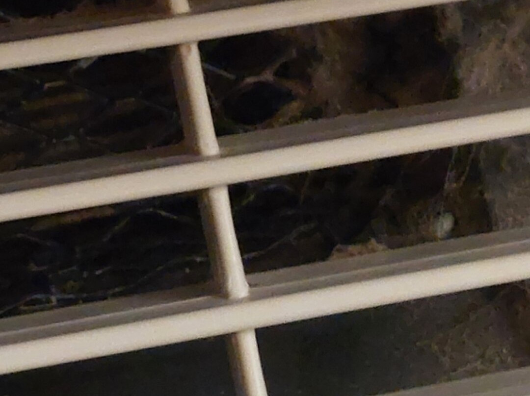 Quality Inn & Suites主图