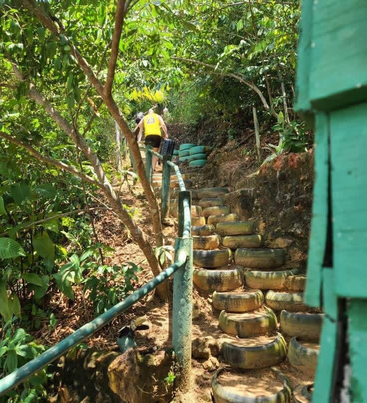 Amazon Brasil Jungle Tours-玛瑙斯必去景点