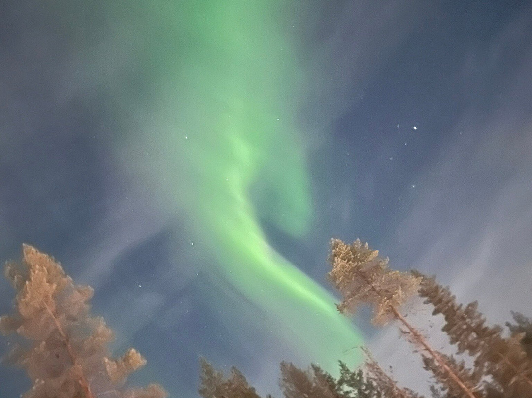 AFC Holidays-迪拜必去景点