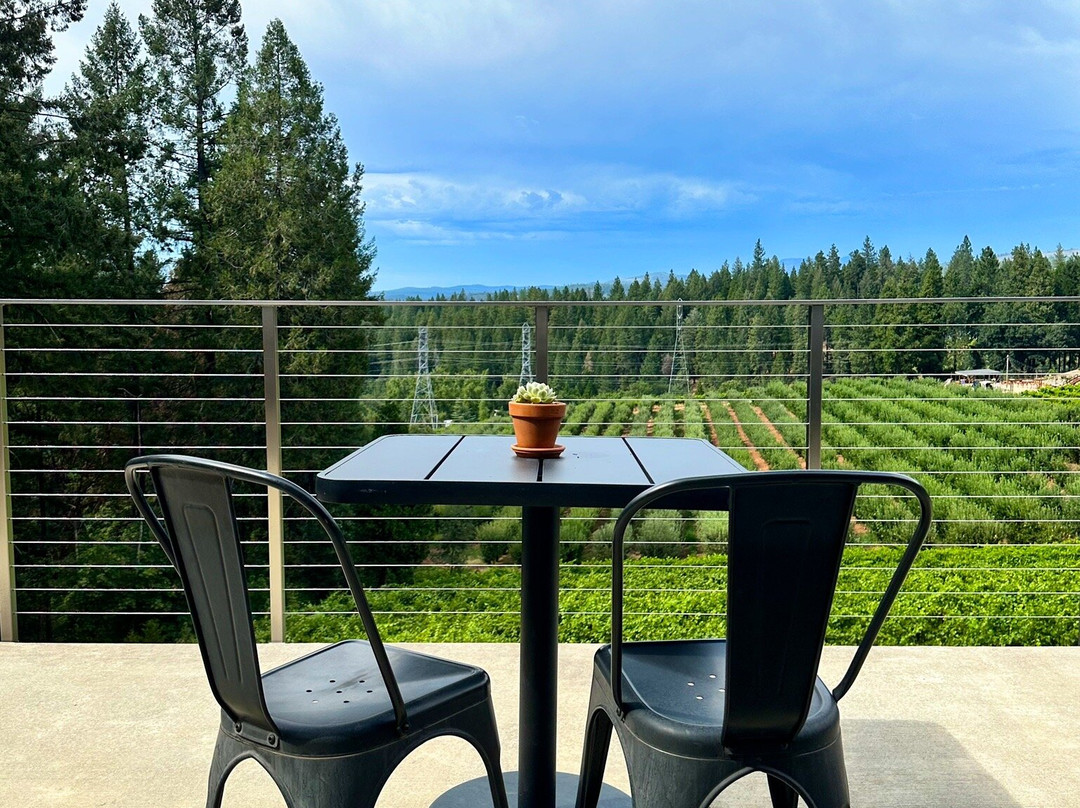 Delfino Farms-Camino必去景点