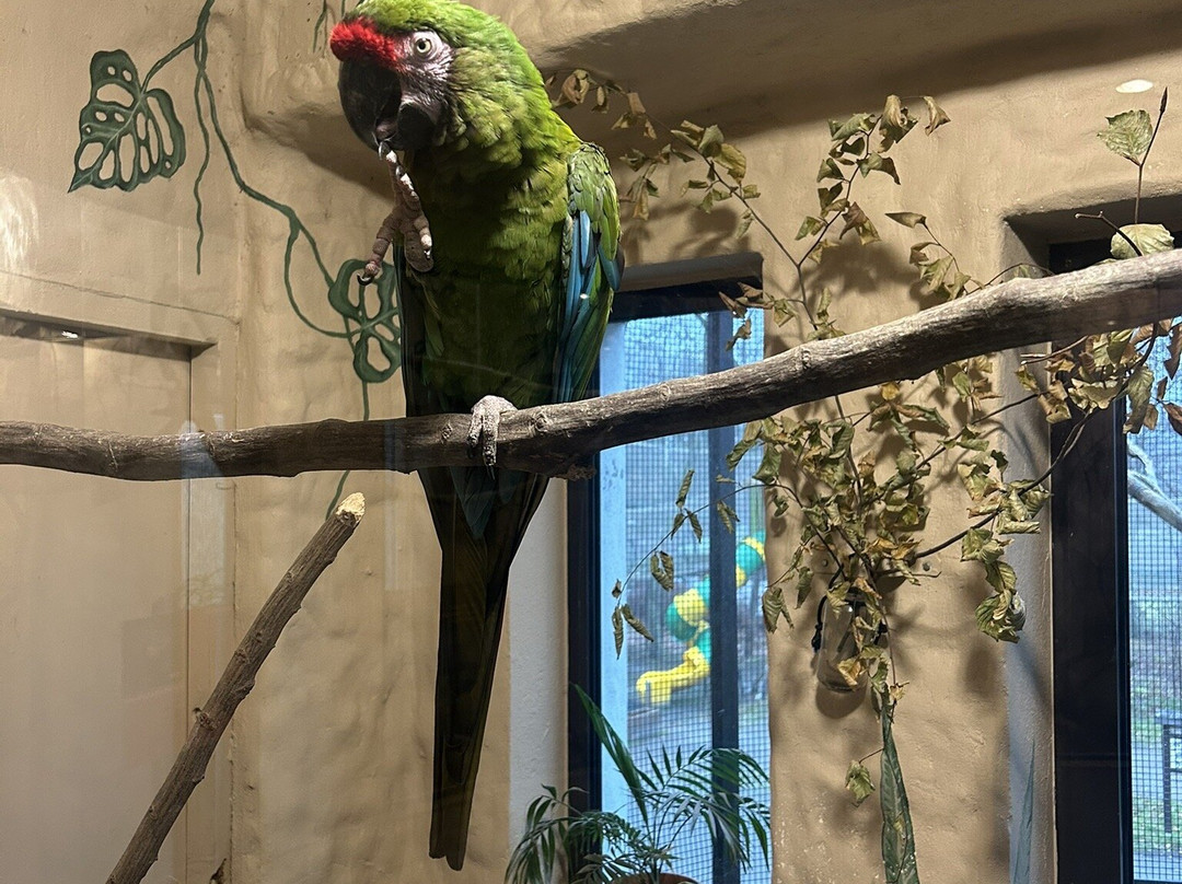 Oliwa Zoo-格但斯克必去景点