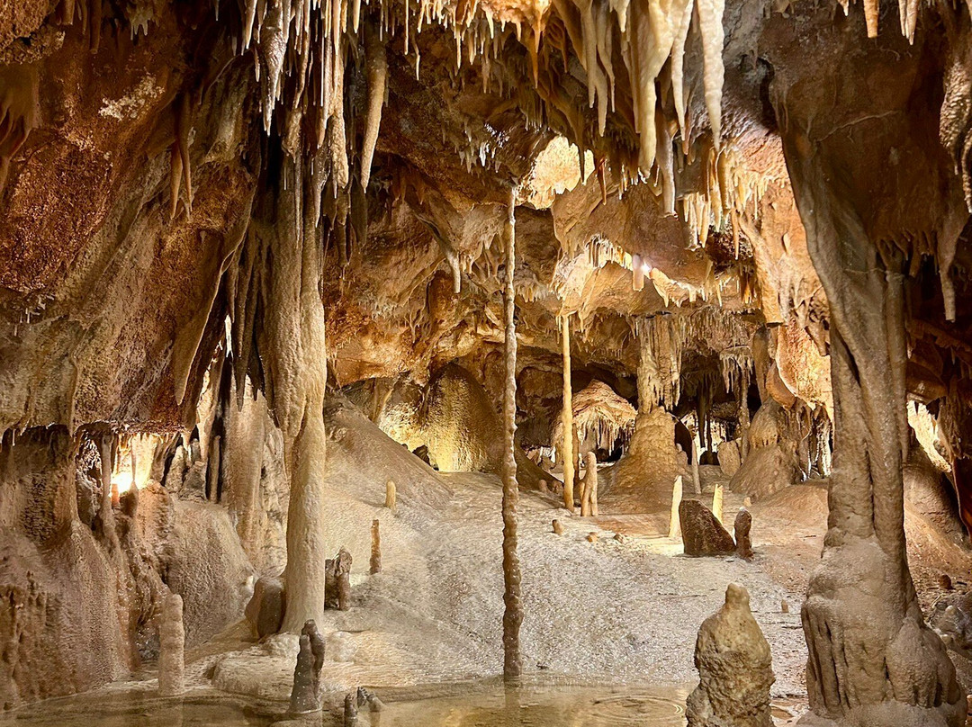 Grutas de Alvados-Alvados必去景点