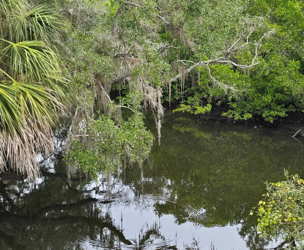 Oscar Scherer State Park-Osprey必去景点