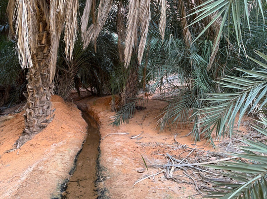 Desert Train Adventures-诺克少必去景点