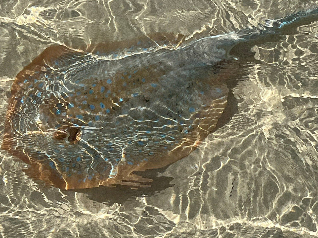 Coral Bay Beach-珊瑚湾必去景点