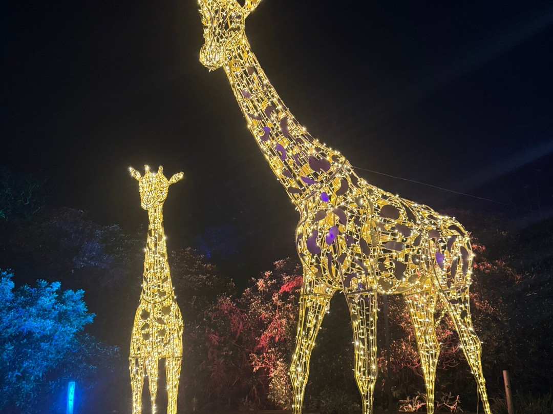 Knowsley Safari-Prescot必去景点