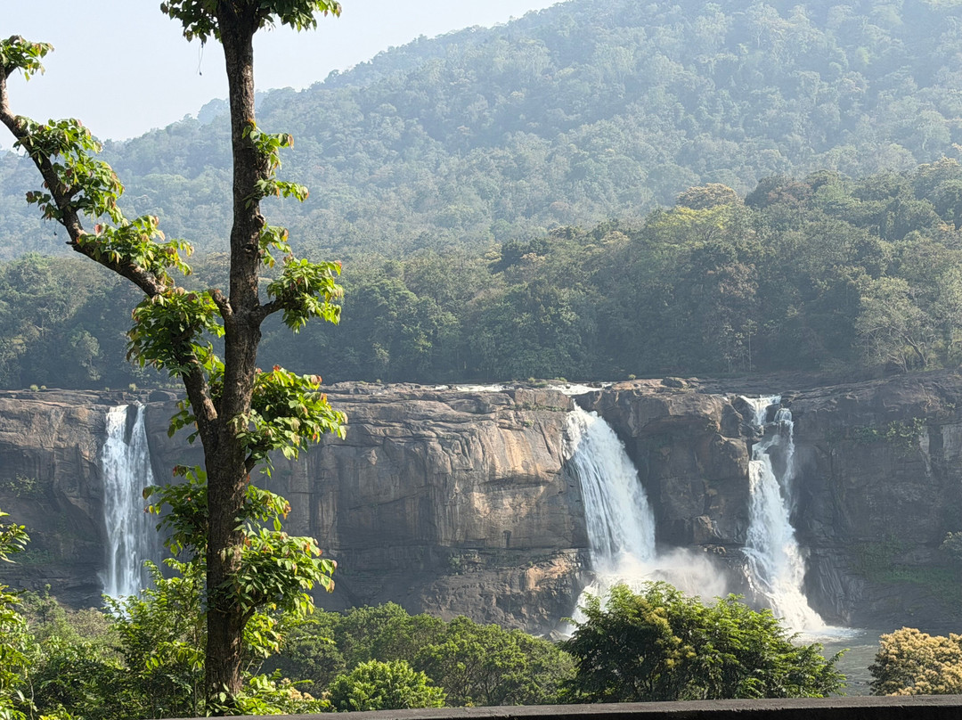 Experience Kerala Holiday Planners-柯钦必去景点