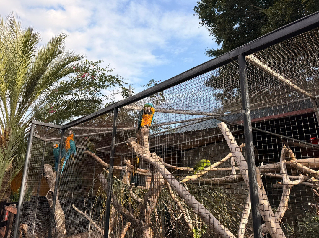 Selwo Marina-班纳玛德纳必去景点