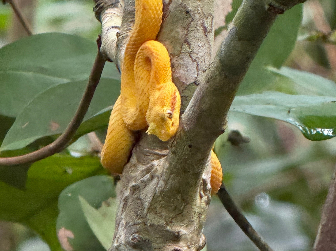 The Biologist from Cahuita-卡维塔必去景点
