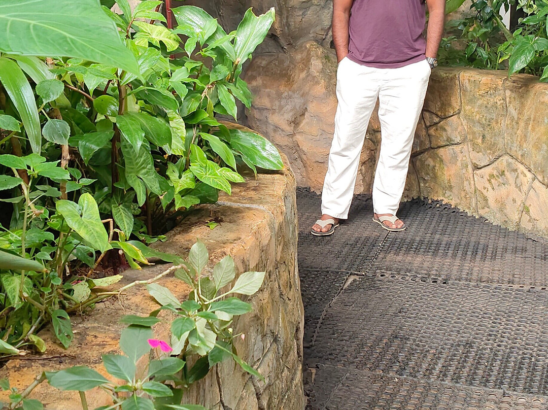 Fundera Park-Yelagiri必去景点