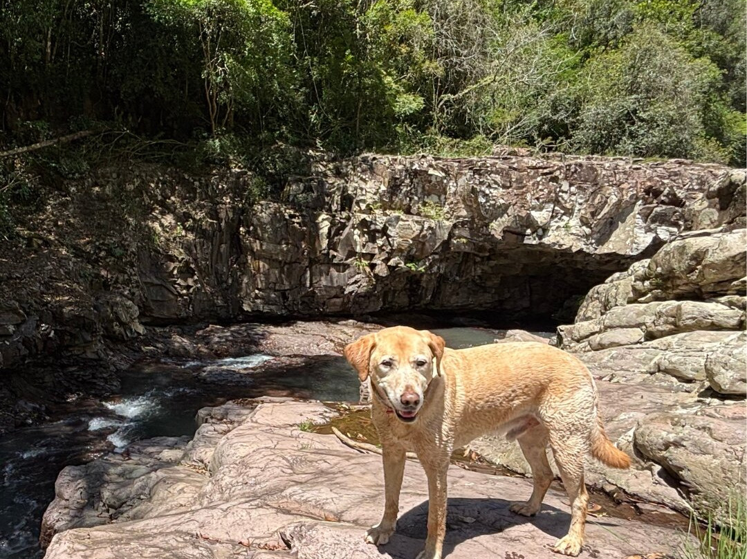 Pedra Furada (Antônio Prado)-Antônio Prado必去景点