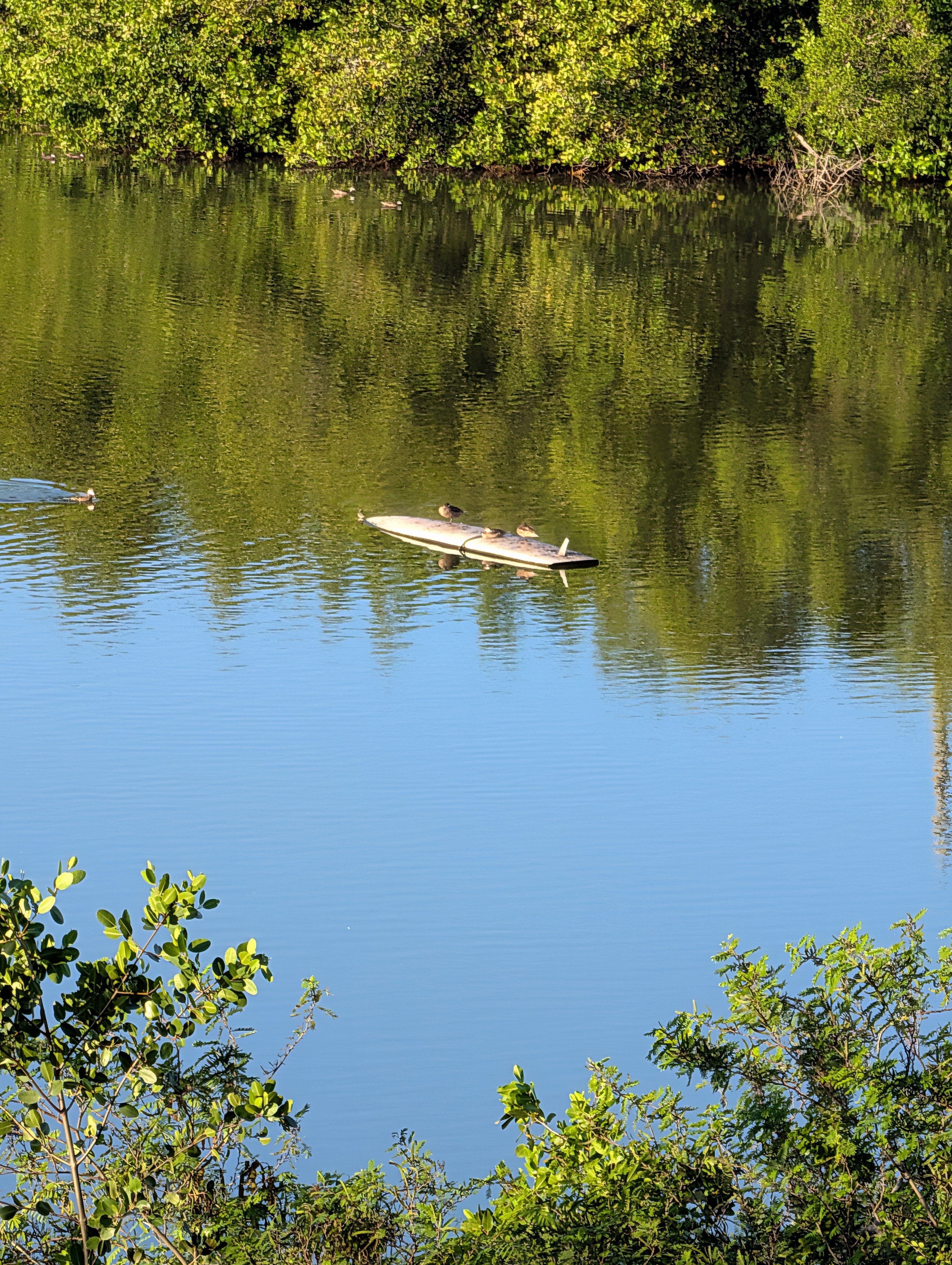 Garden by the Sea B&B-酒店景观