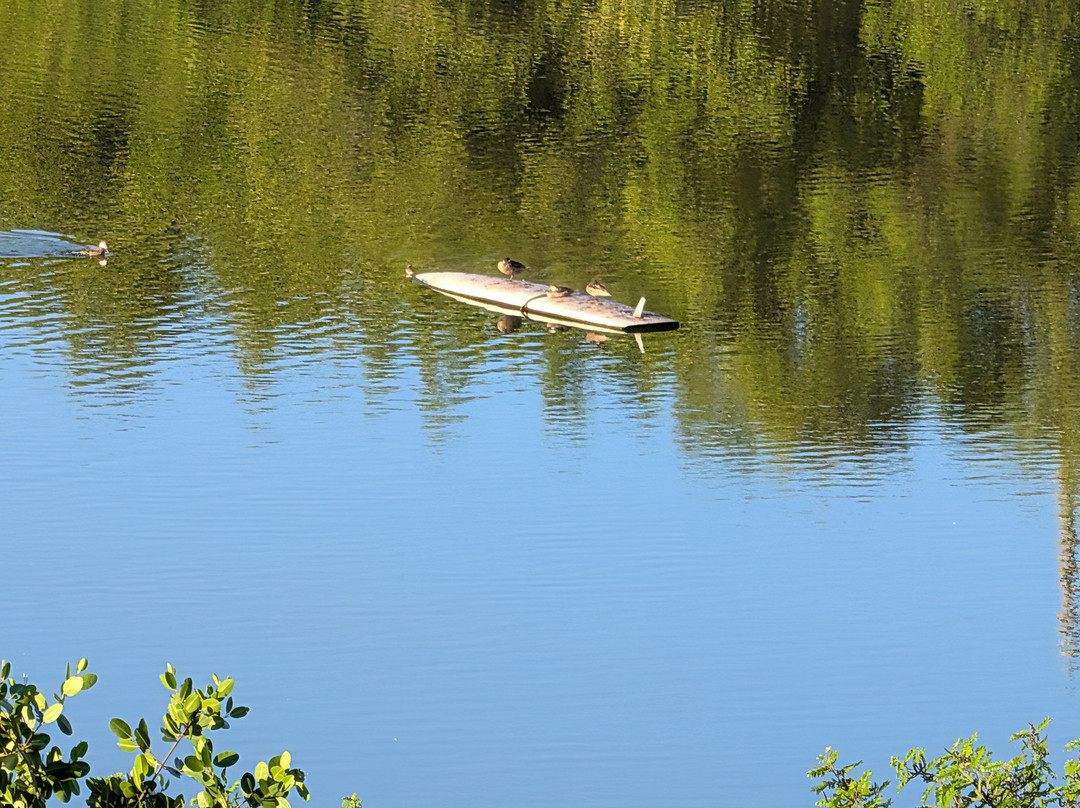 Garden by the Sea B&B主图