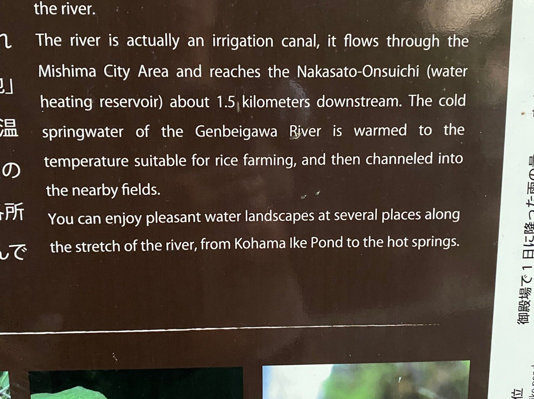 Gempeigawa River-三岛市必去景点