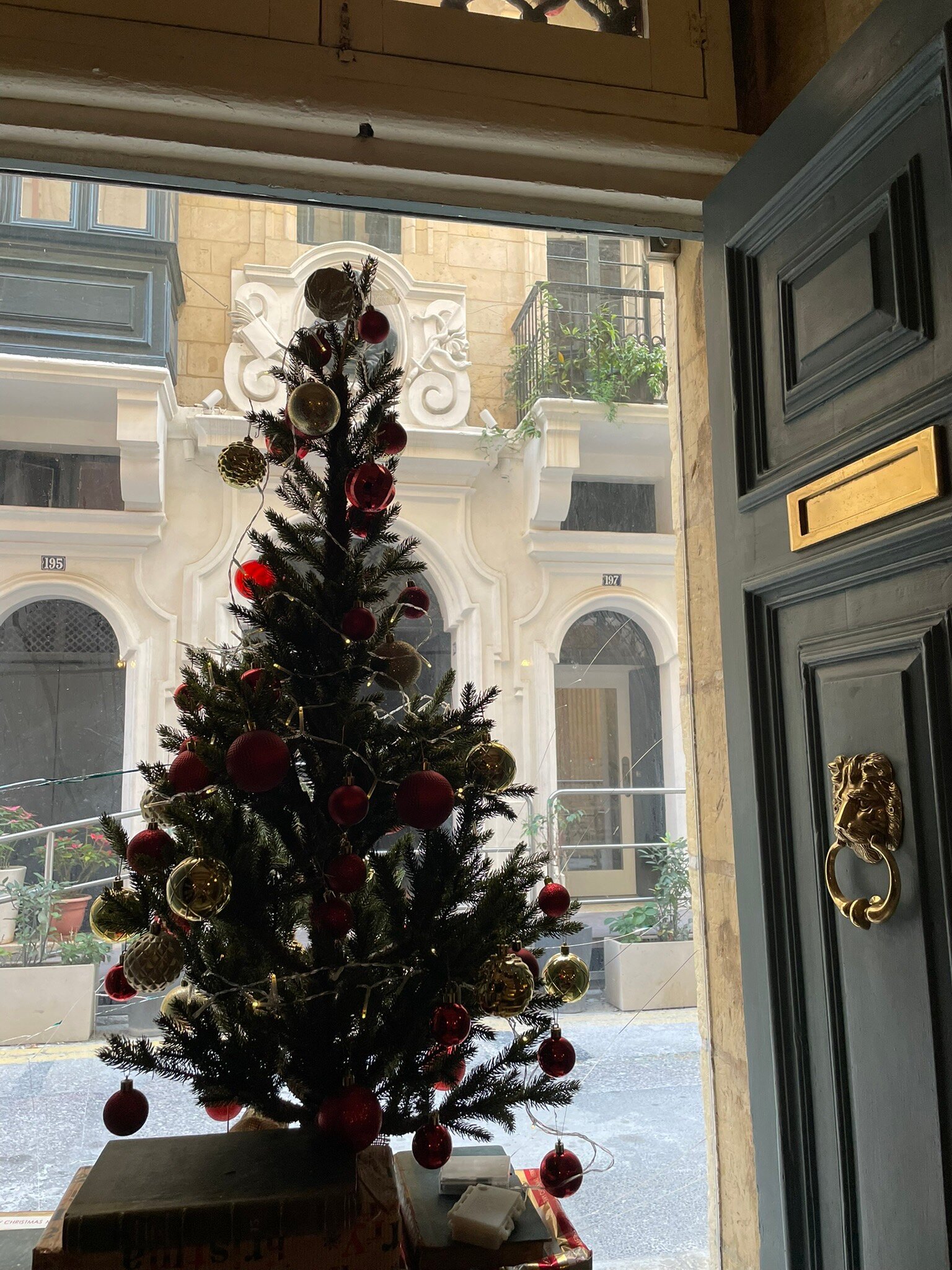 Palazzo Consiglia-官方