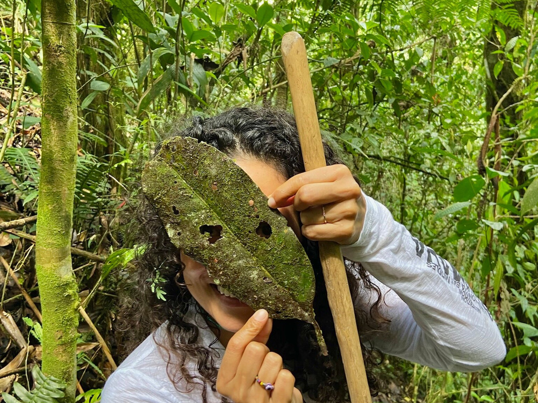 El Palacio del Barbas-Filandia必去景点