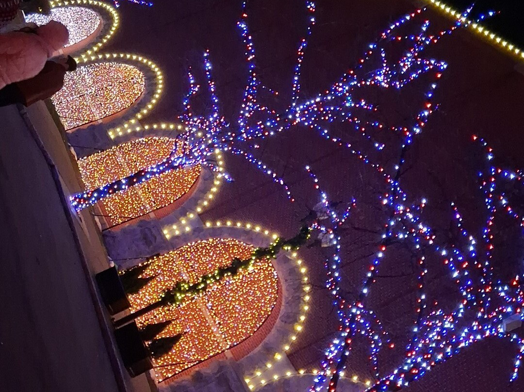 Budweiser Brewery Experience-圣路易斯必去景点