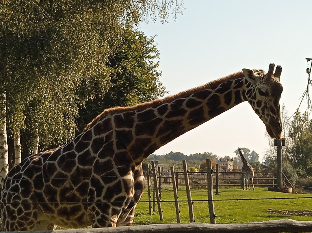 Jaderpark-Jaderberg必去景点